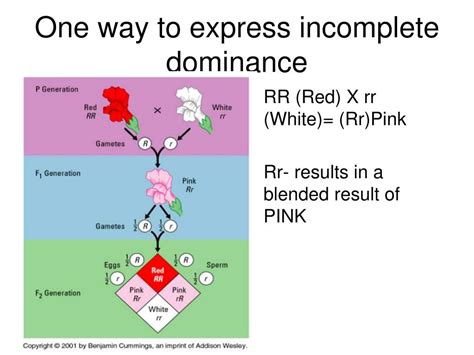 Ppt Codominant Vs Incomplete Dominant Whats The Difference