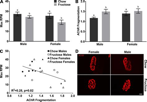 Sex Modifies The Consequences Of Extended Fructose Consumption On Liver
