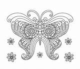 Butterfly Coloring Adult Vecteezy Vector Book sketch template