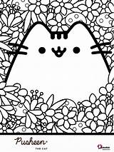 Coloring Cat Pusheen Flowers Bubakids sketch template