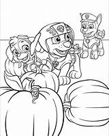 Coloring Print Paw Patrol Pages sketch template