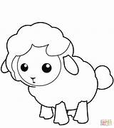 Coloring Lamb Sheep Pages Cute Little Printable Drawing sketch template