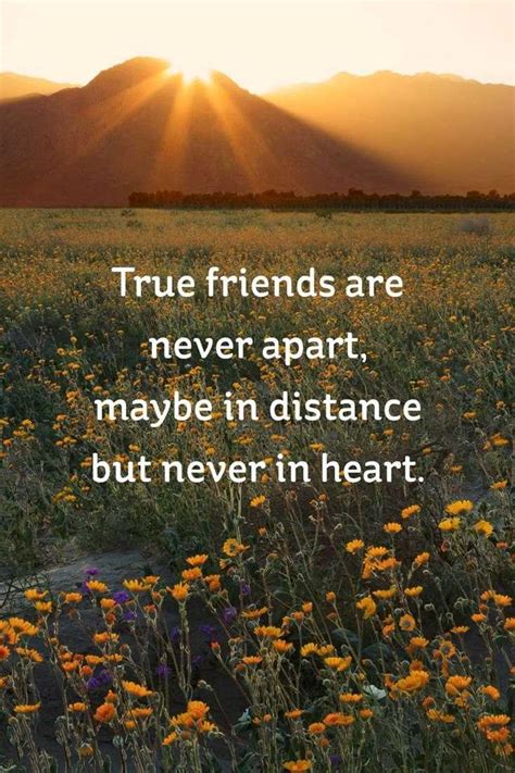 59 true friendship quotes best friends forever quotes boomsumo