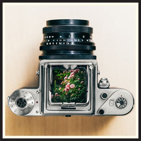 medium format film camera  popular models