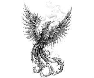 phoenix black  white google search phoenix tattoo phoenix bird