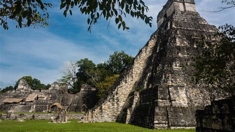 ancient maya astronomers farmers  salt entrepreneurs