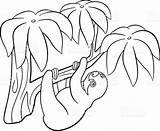 Sloth Coloring Pages Toed Three Printable Getcolorings Kids sketch template
