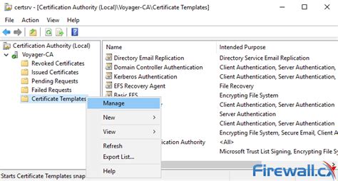 enable web server certificate template option  windows