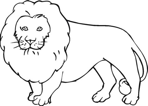 lions coloring pages super coloring clipart  clipart