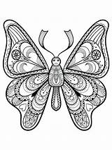 Butterflies Bright sketch template