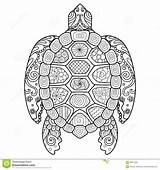 Turtle Coloring Zendoodle Adult Beautiful Tattoo Book Pages Adults Shirt Stylized Illustration Preview sketch template