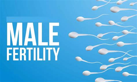 male fertility how to improve sperm count and reproductive health