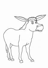 Donkey Pages Coloring Animals Print Index sketch template