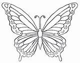 Farfalle Farfalla Butterflies Tsgos Stampare Pianetamamma Colorate Schmetterling Mariposas Raupe Ali Nimmersatt Adultos sketch template
