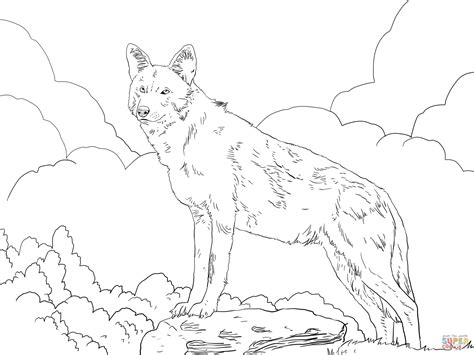 north american red wolf coloring page  printable coloring pages
