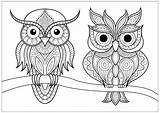 Owls Buhos Colorare Hiboux Deux Adulti Branche Gufi Colouring Eulen Malbuch Erwachsene Justcolor Búhos Calme Jolis Posés Coloriages Animali Tiere sketch template