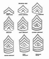 Army Coloring Pages Armed Forces Marine Rank Enlisted Veterans Corps Military Insignia Color Ranks Usmc Badges American Sheets Promotion Worksheet sketch template