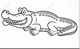 Coloring Alligator Getdrawings Caiman sketch template