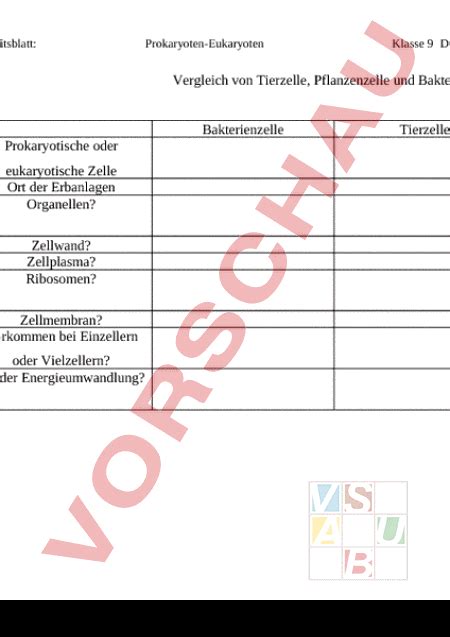 arbeitsblatt eukaryotenprokaryoten vergleich biologie