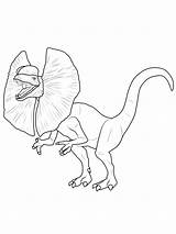 Dinosaurier Dilophosaurus Ausdrucken Ausmalbild Ausmalen Malvorlagen Ausmalbilder Dino Malvorlage Flugsaurier Steinzeit Dinos Drucken Zeichnen sketch template
