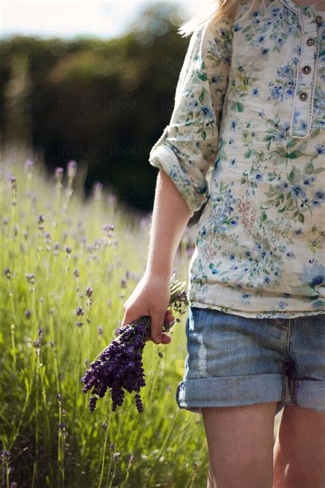 lavender by helen rushbrook