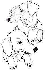 Dachshund Coloring Pages Printable Drawing Puppy Stencil Long Aphmau Aaron Dog Haired Color Template Silhouette Getcolorings Getdrawings Print Pencil Clube sketch template