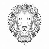 Lion Outline Head Cartoon Lines Line Drawing Coloring Mane Book Portrait Vector Isolated Outlines Background Curve Animals King Clip Cute sketch template