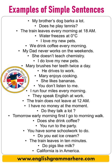 examples  simple sentences english grammar