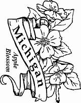 Coloring Michigan State Pages Flowers Apple Kids Blossom Flower Drawings Printable May Comments Popular Coloringhome 900px 78kb Central sketch template
