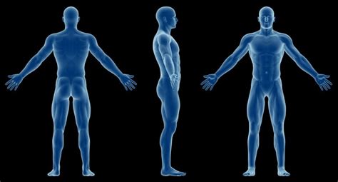 anatomical terminology basics facty health