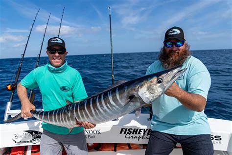 wahoo fishing epic catches blackfin rods