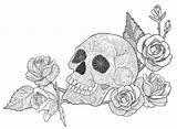 Coloring Skull Rose Adults Book sketch template