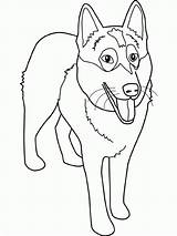 Coloring Husky Puppy Pages Comments sketch template