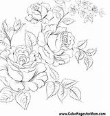 Coloring Pages Realistic Flower Rose Color Detailed Jasmine Advanced Flowers Colouring Power Printable Getcolorings Getdrawings Drawing Colorings Colo Cartoon Beautiful sketch template