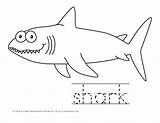 Kids Handwriting Sharks Printable Animals Colouring Cute sketch template