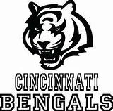Bengals Cincinnati sketch template