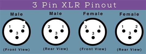 view   pin dmx wiring diagram learndesignsince