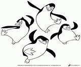 Madagascar Madagaskaru Pingwiny Kolorowanki Penguins Colouring Kolorowankimalowanki sketch template