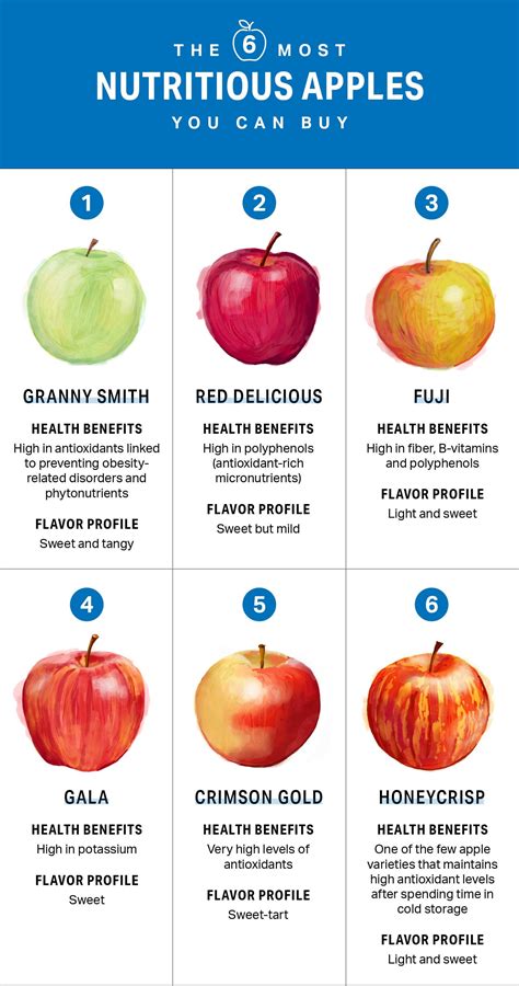 characteristics     nutritious apples rcoolguides
