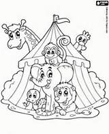 Circo Zirkus Book Preschool Bordados Cariñositos Mandalas Patrones Ositos Siluetas Colchas Punto Infantil Oken Podzim Výzdoba Flintstones Payaso sketch template