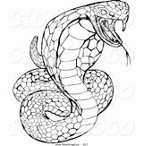 Python Snake Garter Drawing Coloring Pages Drawings Clipartmag Paintingvalley sketch template