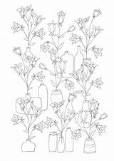 Whimsical Coloring Adult Flowers Pages Icolor Color Vases sketch template