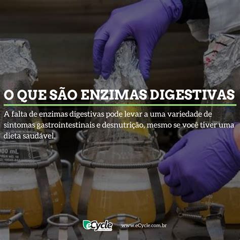 O Que São Enzimas Digestivas E Para Que Servem Ecycle Enzima