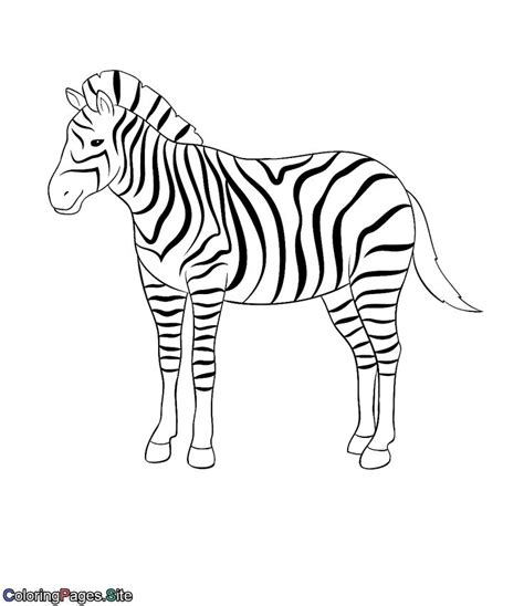 zebra coloring page zebra coloring pages  coloring pages