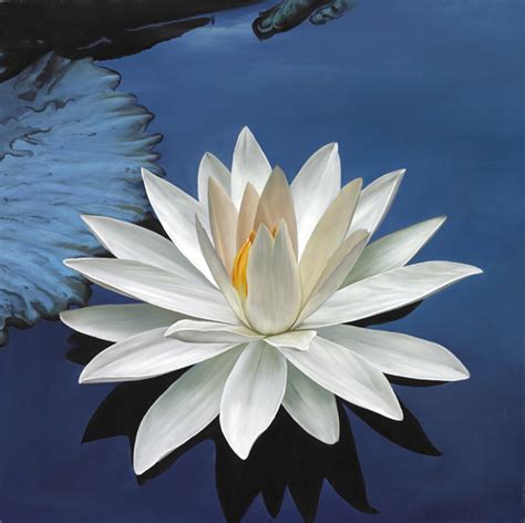 marsha a moore ‘l is for the lotus flower its purity rising out of
