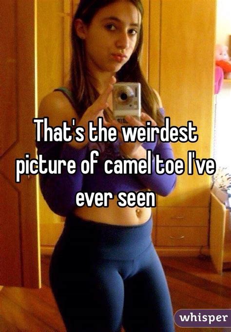 That S The Weirdest Picture Of Camel Toe I Ve Ever Seen