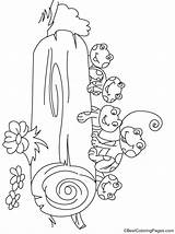 Log Coloring Frogs Behind Kids Pages sketch template