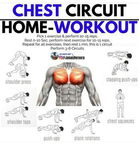 pin by sai kiran on body chest workout at home chest workout for men