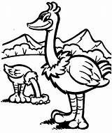 Ostrich Coloring Pages Color Clipart Ostriches Print Animal Animals Printable Sheet Back Websites Presentations Reports Powerpoint Projects Use These sketch template