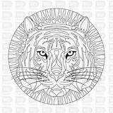 Mandalas Tigre Fantasticos Tigres Fuerza Relacionado Mucha Energía Representan Pasión sketch template